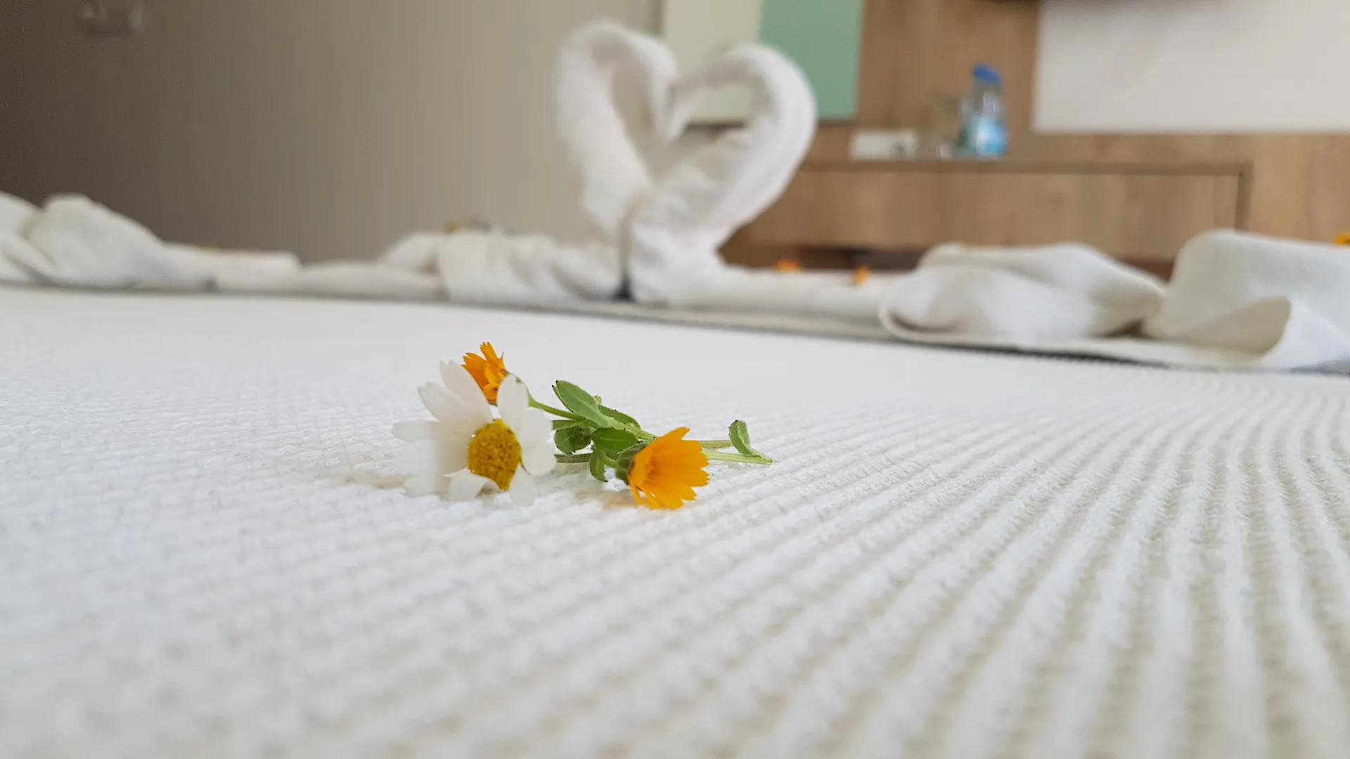 Tunacan Hotel Oludeniz