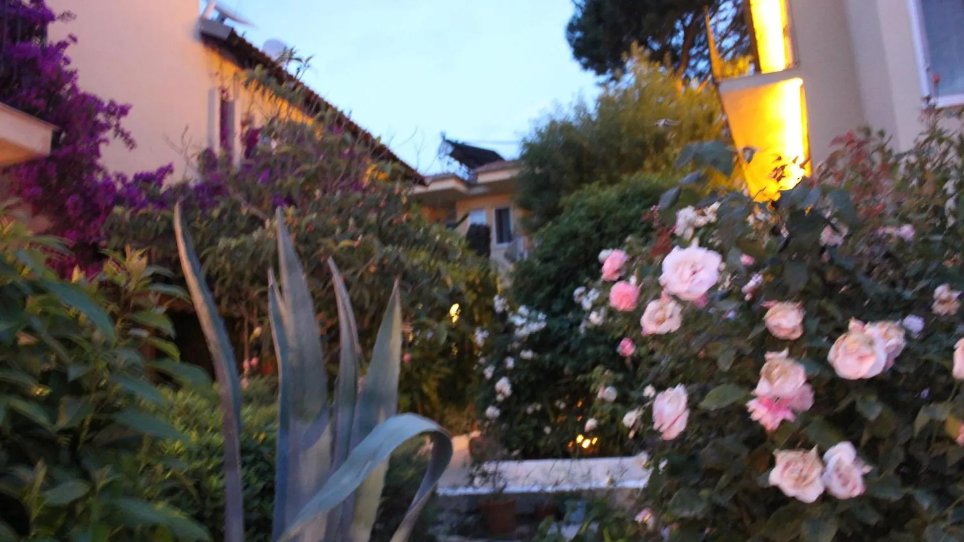 Tunacan Hotel Oludeniz 3*,