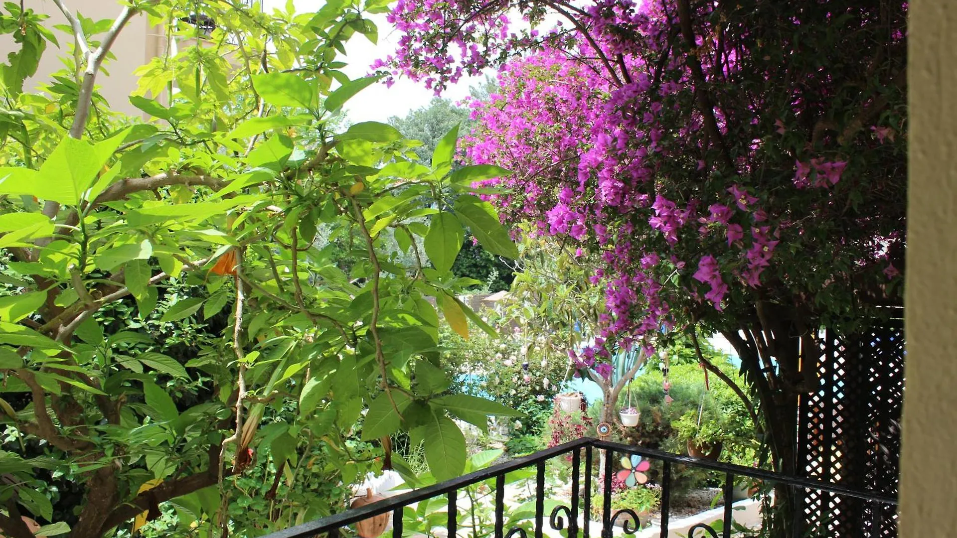 Tunacan Hotel Oludeniz
