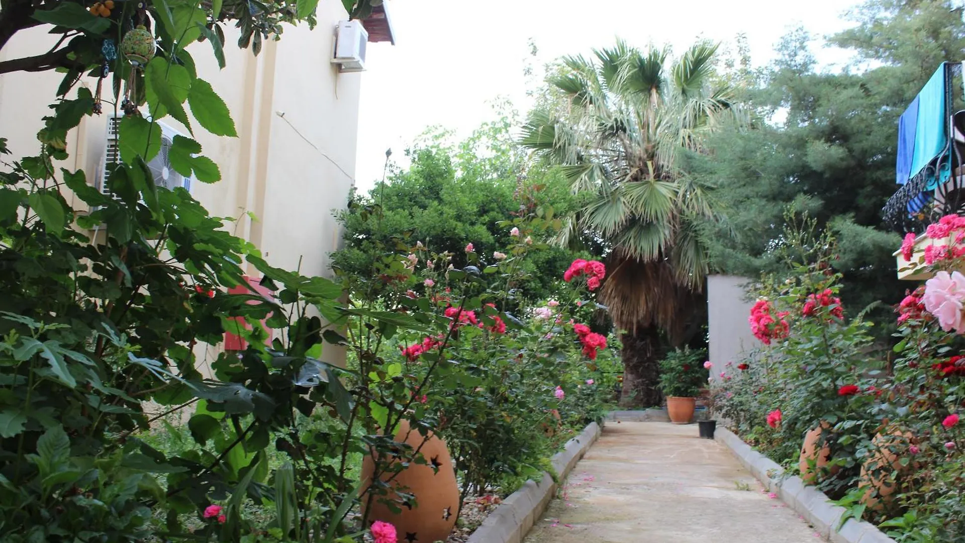 Tunacan Hotel Oludeniz 3*,