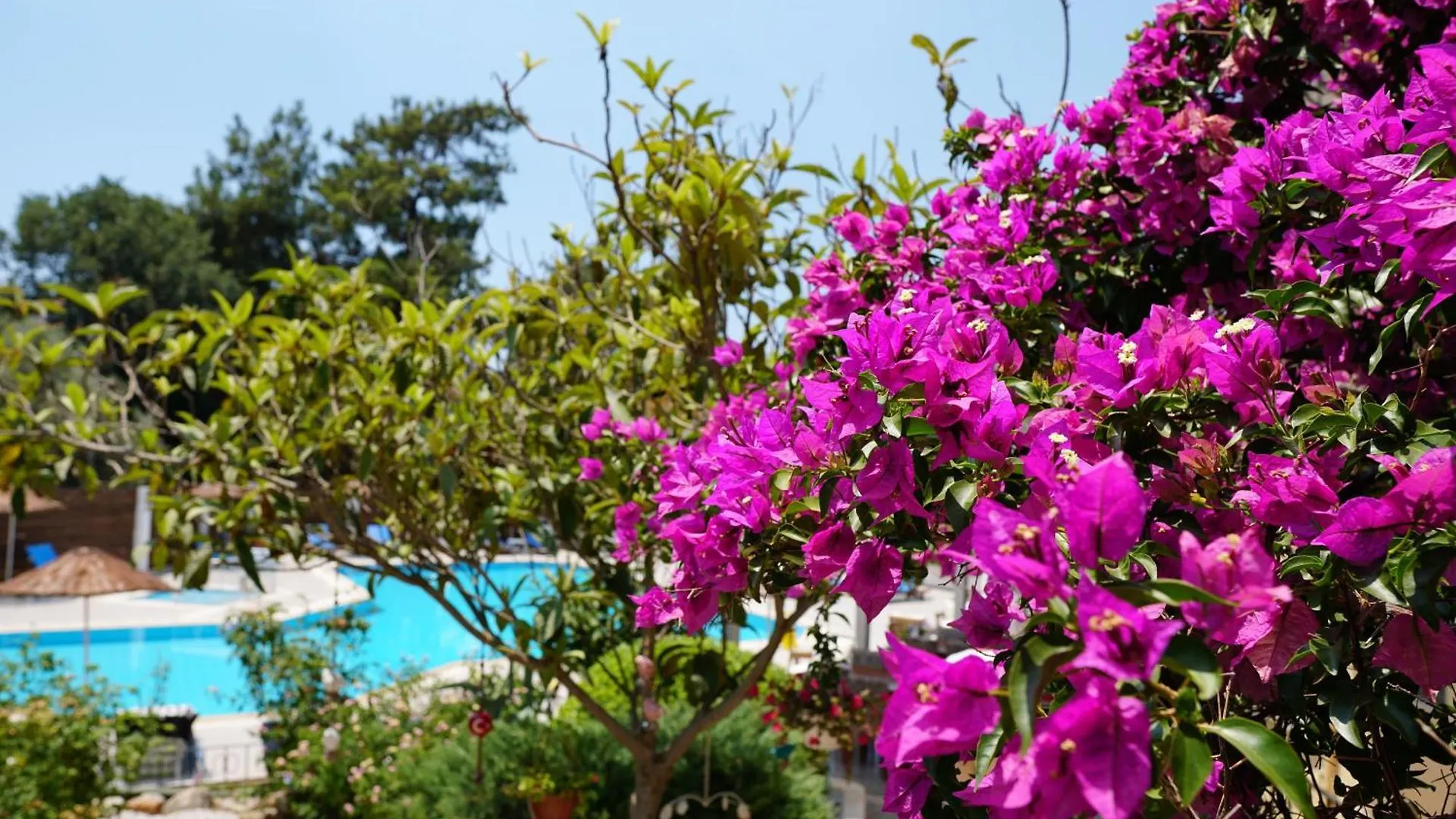 Tunacan Hotel Oludeniz
